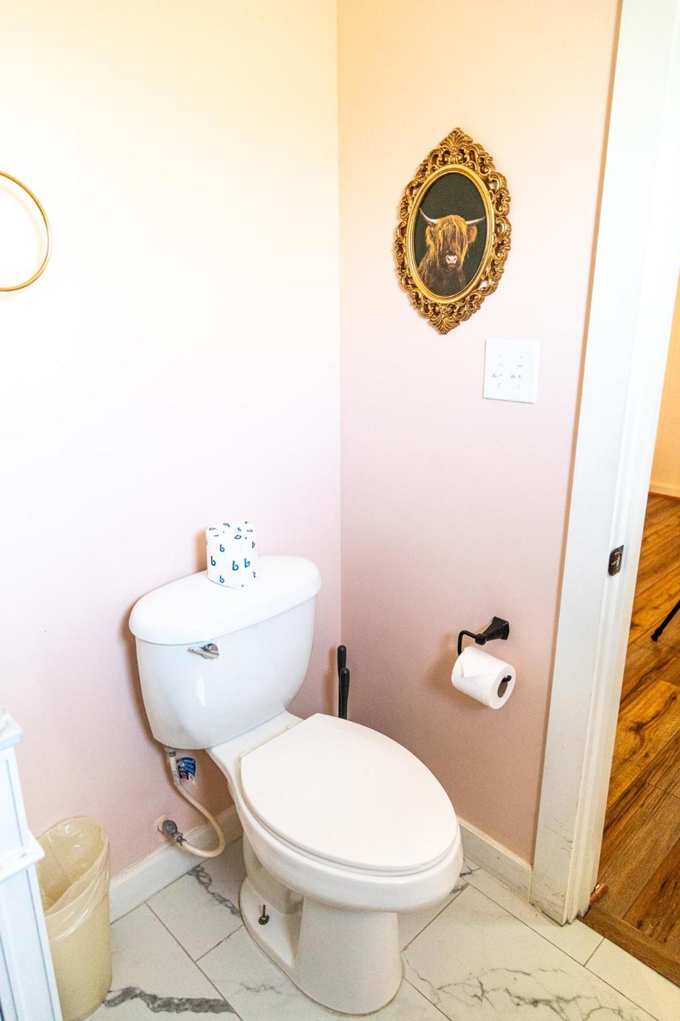 萨格布拉许汽车旅馆 图姆斯顿 客房 照片 A toilet with a toilet paper holder